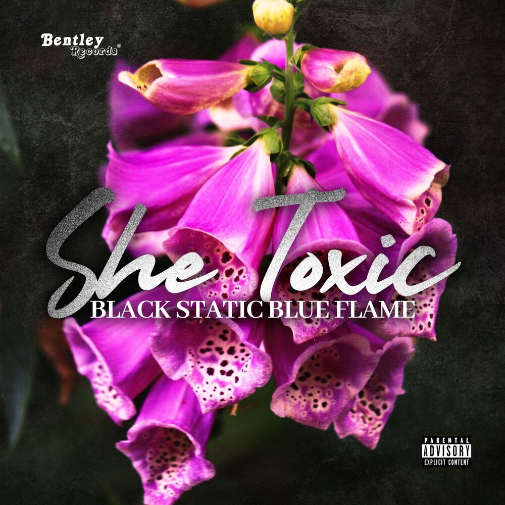 Picture of She Toxic