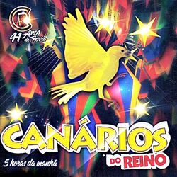 Cover of 41 Anos De Forró