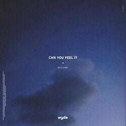 Cover of Can You Feel It