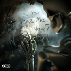 Cover of Do You Like Me Now