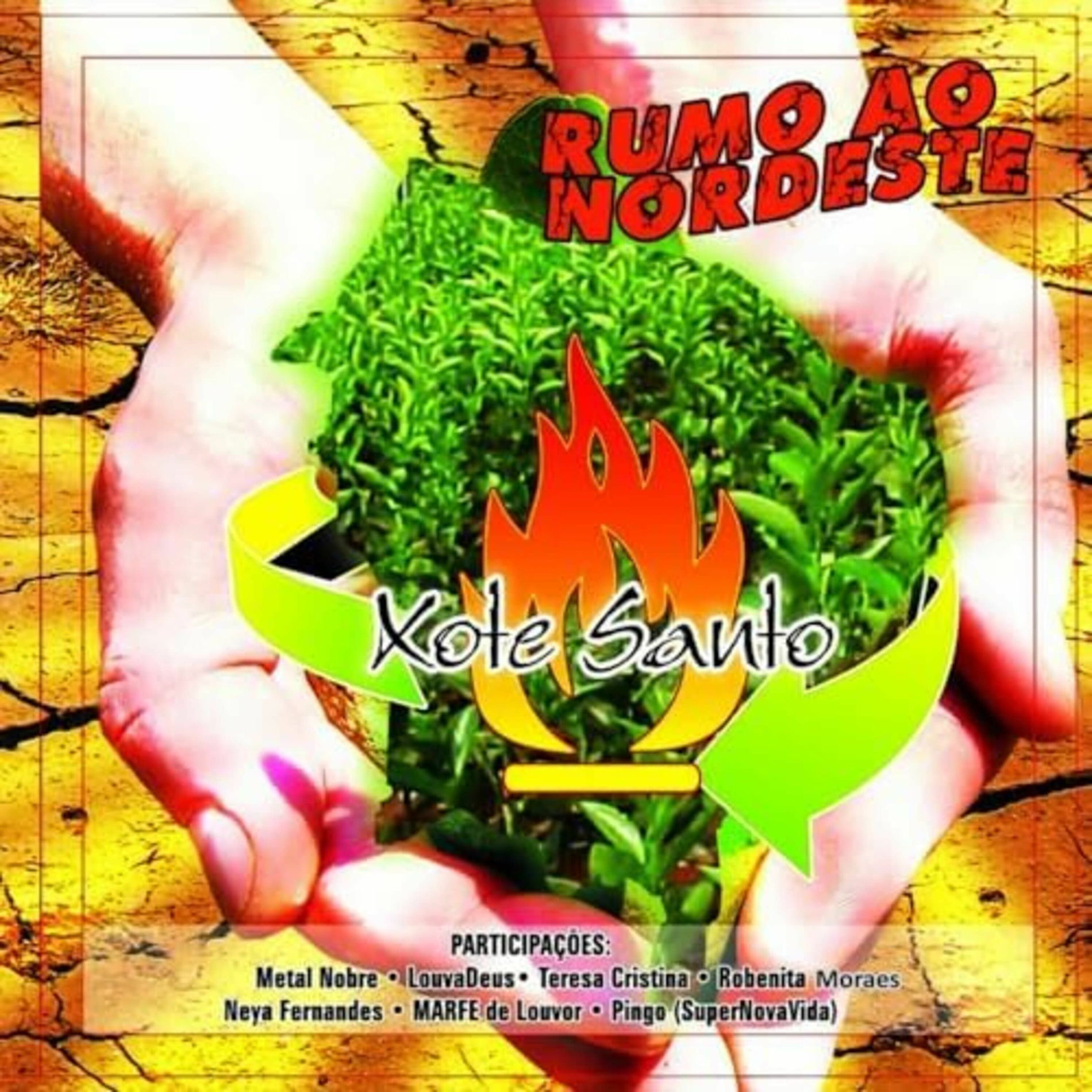 Album cover of Rumo ao Nordeste