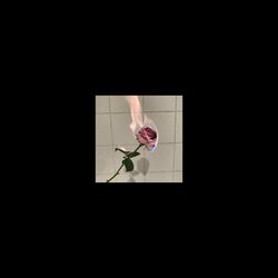 Cover of Cigarettes and Sex (Slowed + Reverb)