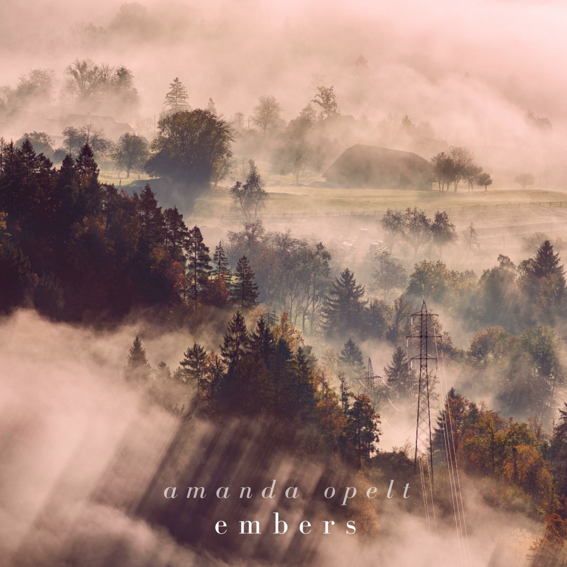 Album cover of Embers