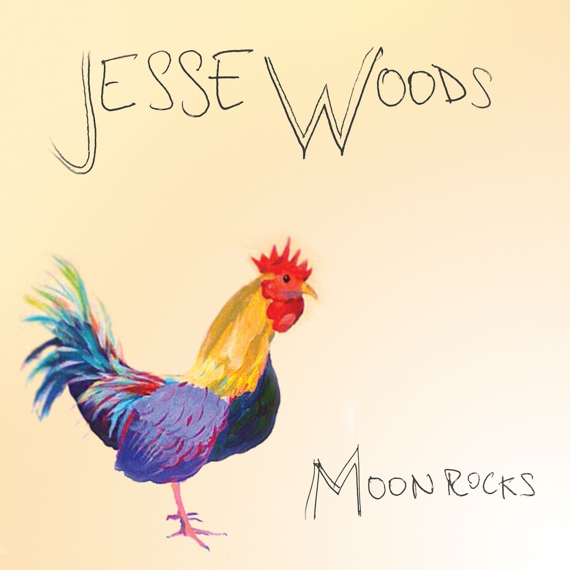 Album cover of Moon Rocks
