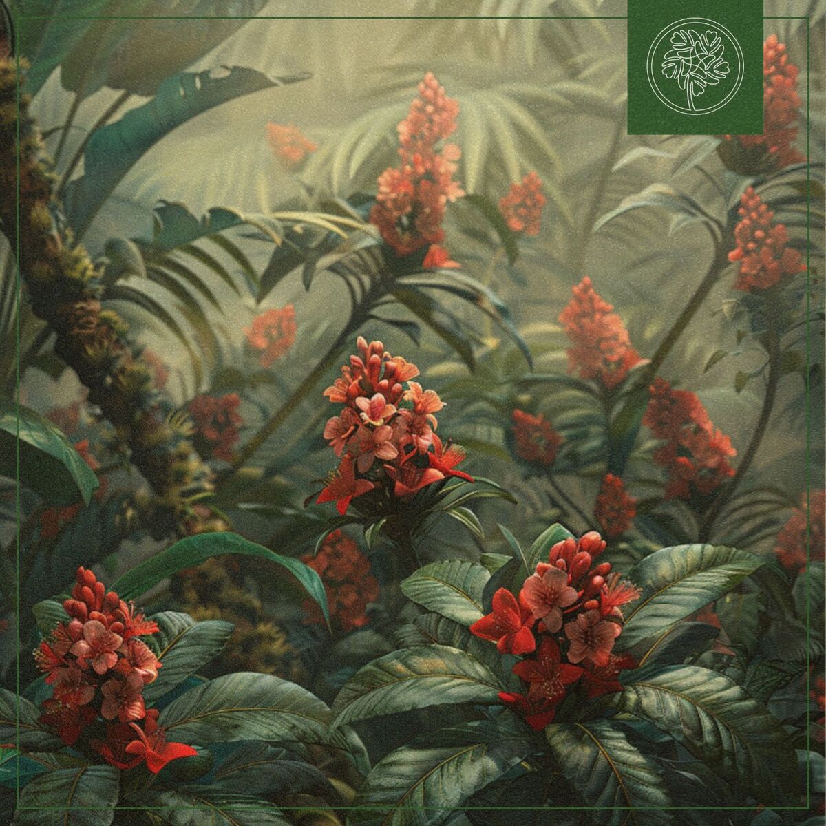 Album cover of Rubiaceae