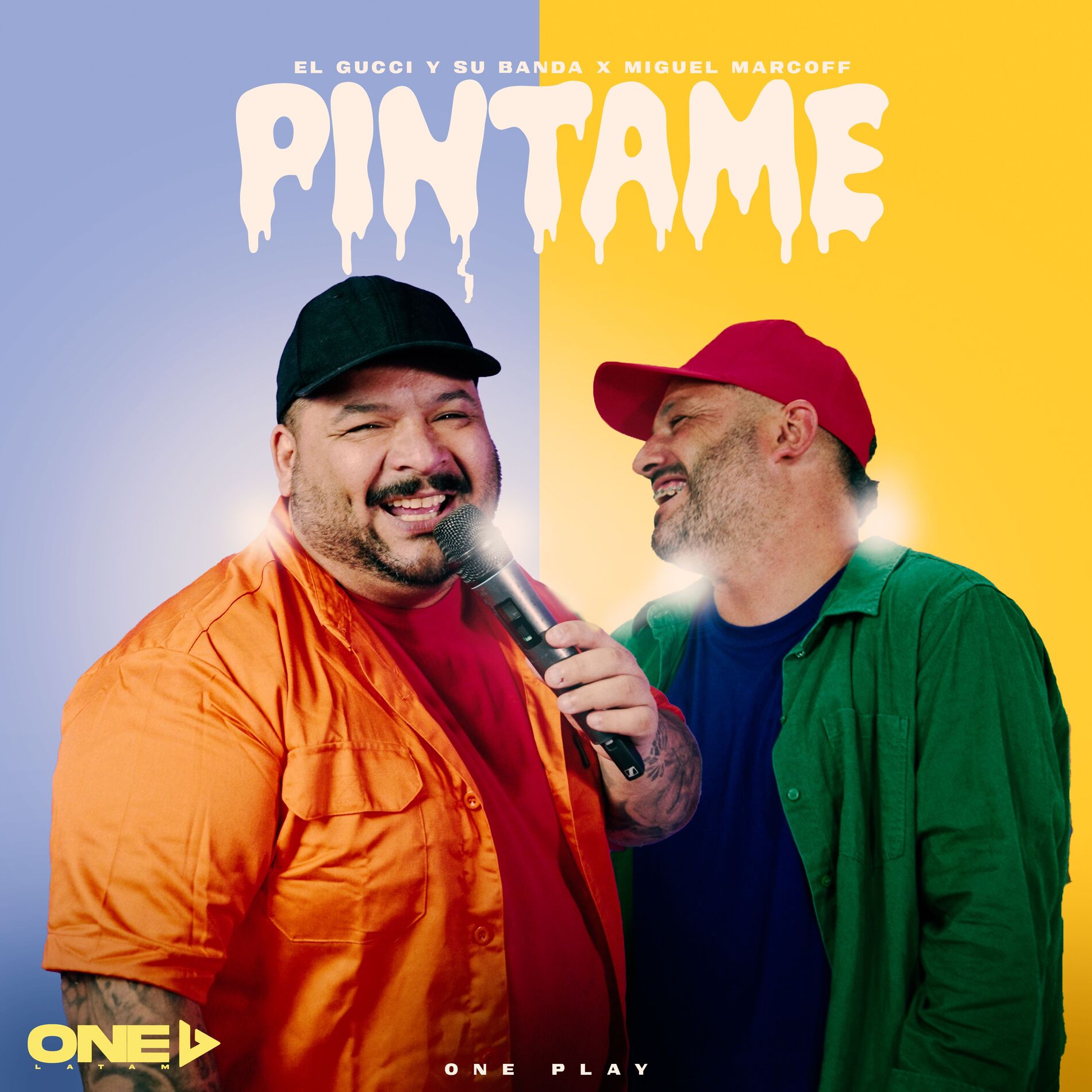 Album cover of Pintame