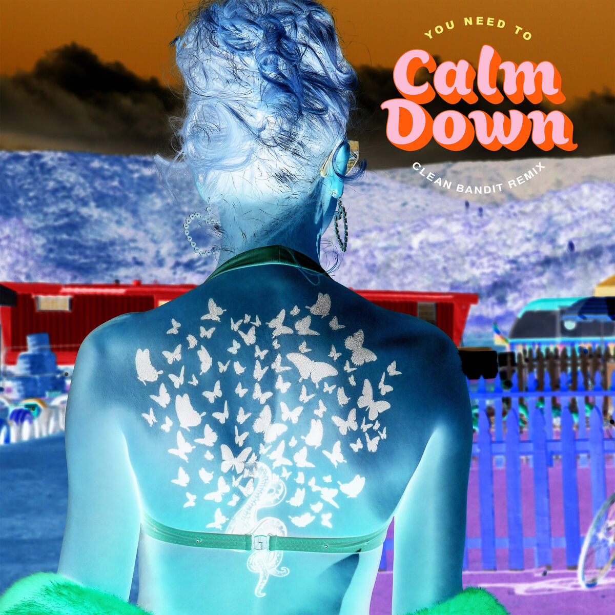 Album cover of You Need To Calm Down