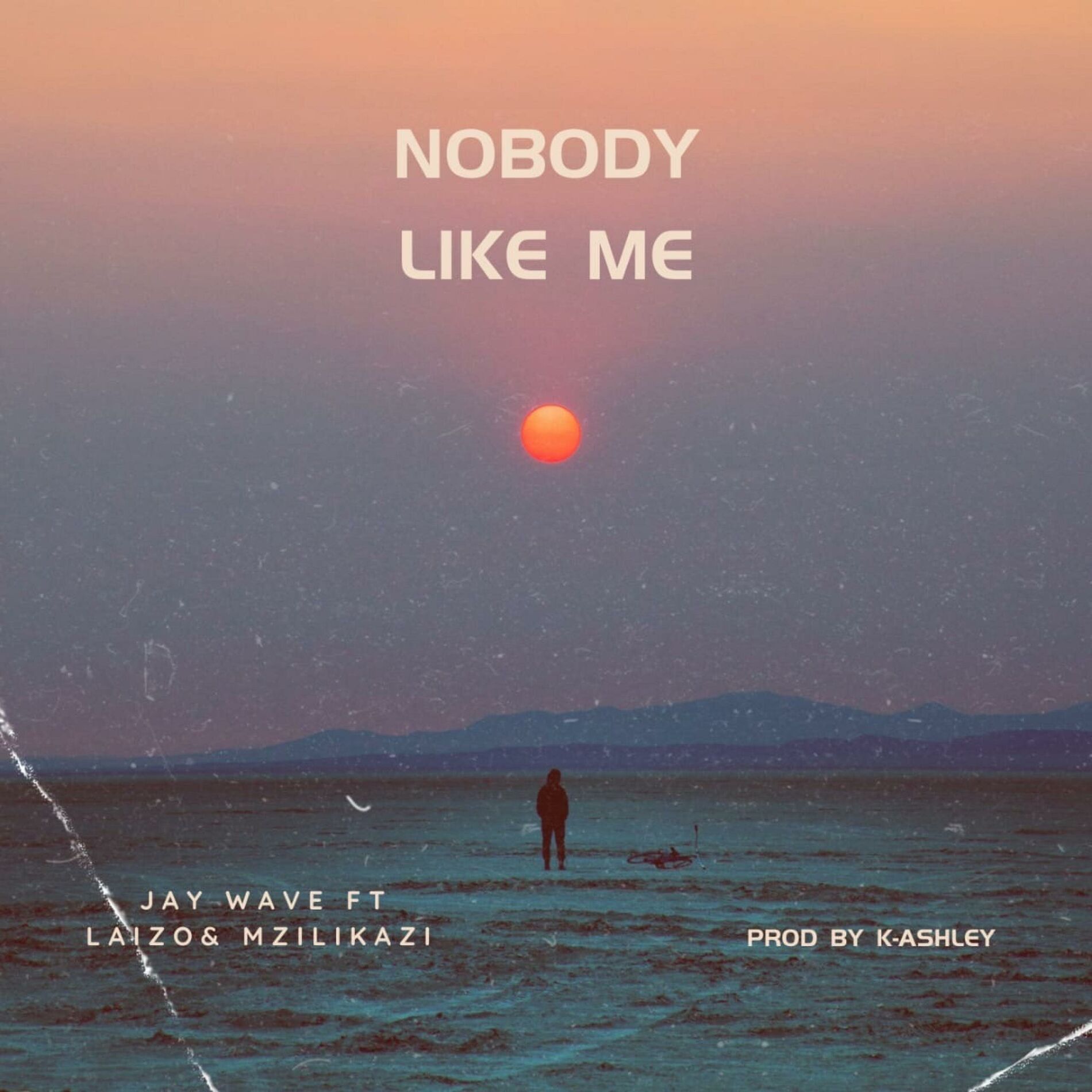 Album cover of Nobody Like Me (feat. Jay Wave, Laizo & Mzilikazi) [Official Audio]
