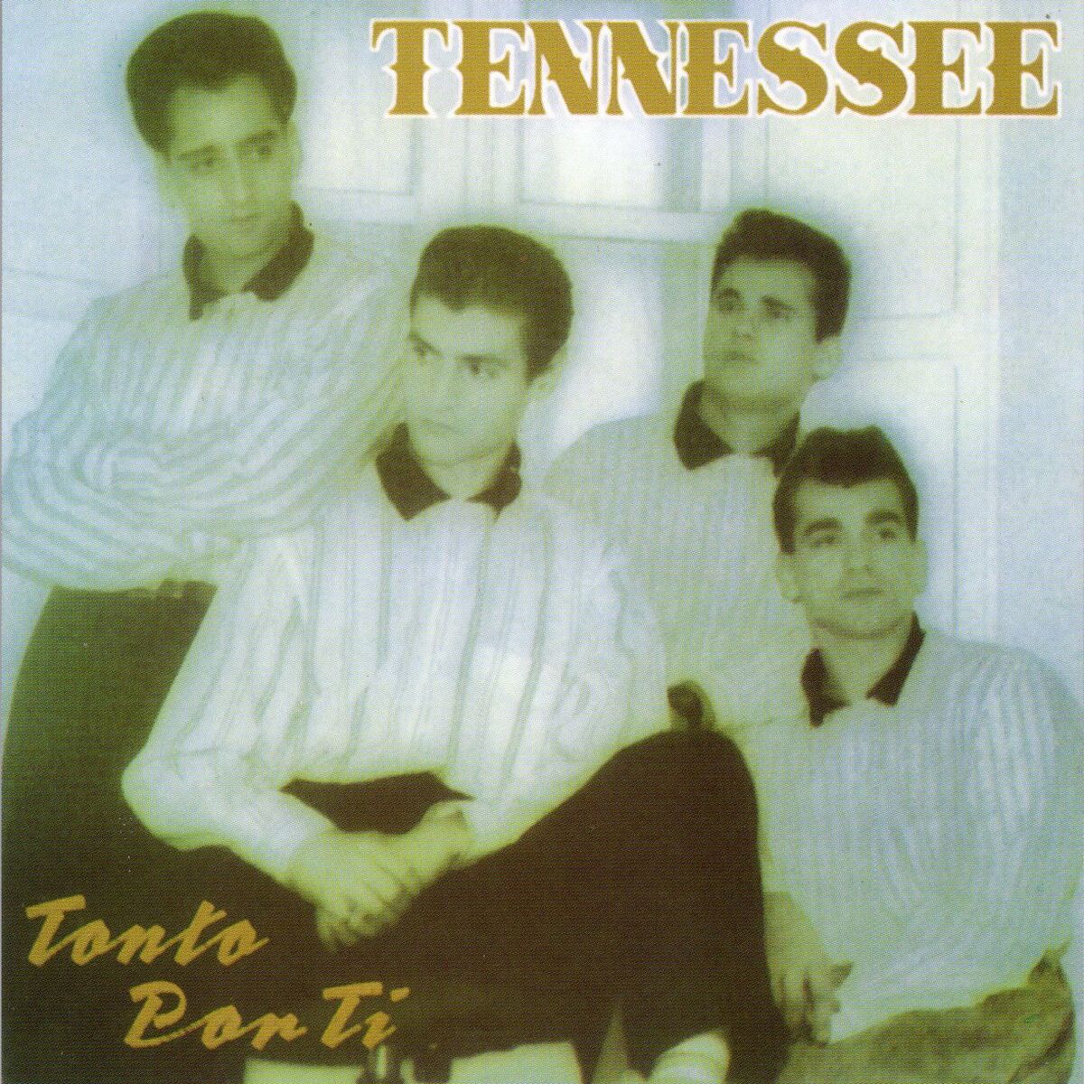 Album cover of Tonto por ti