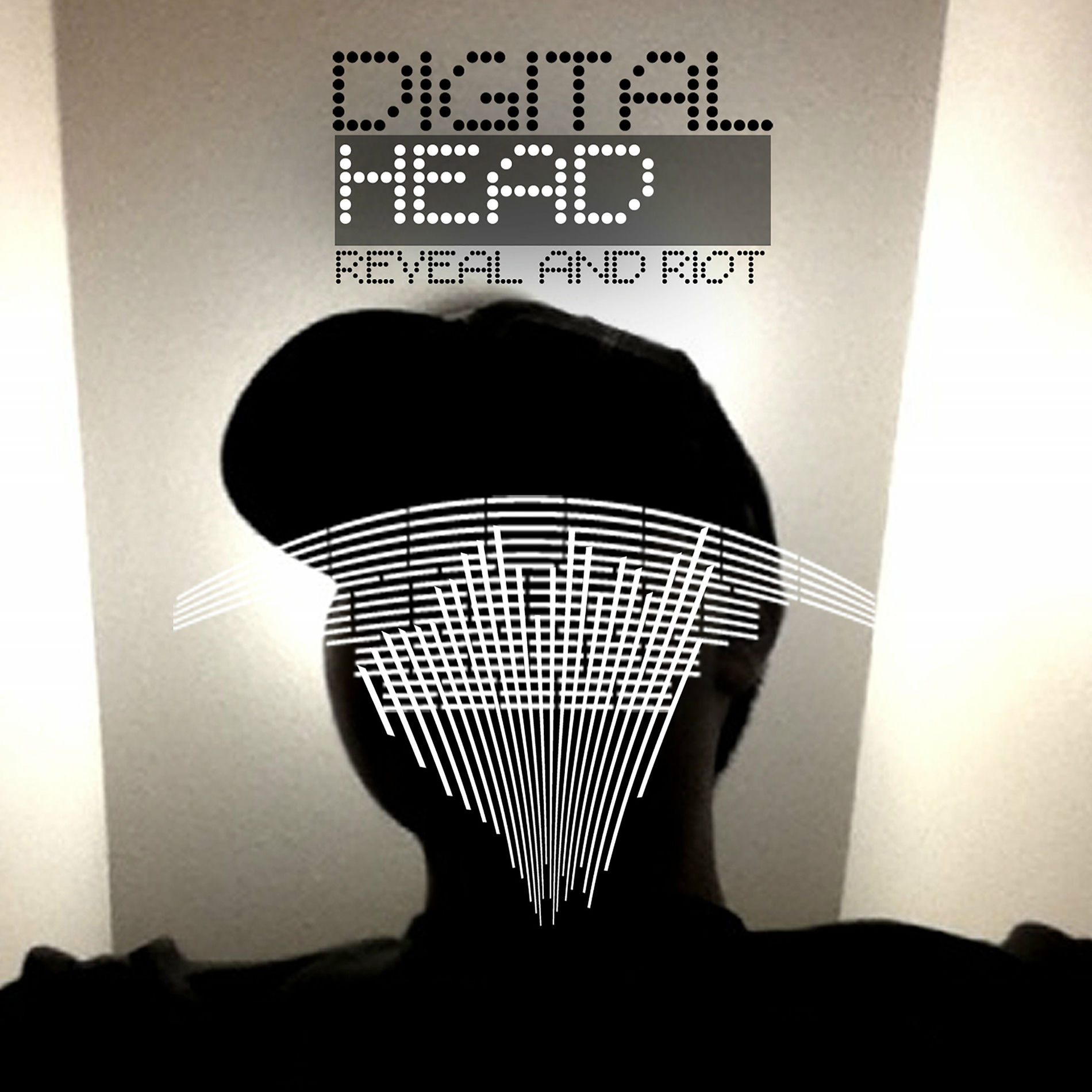 Album cover of Reveal and Riot