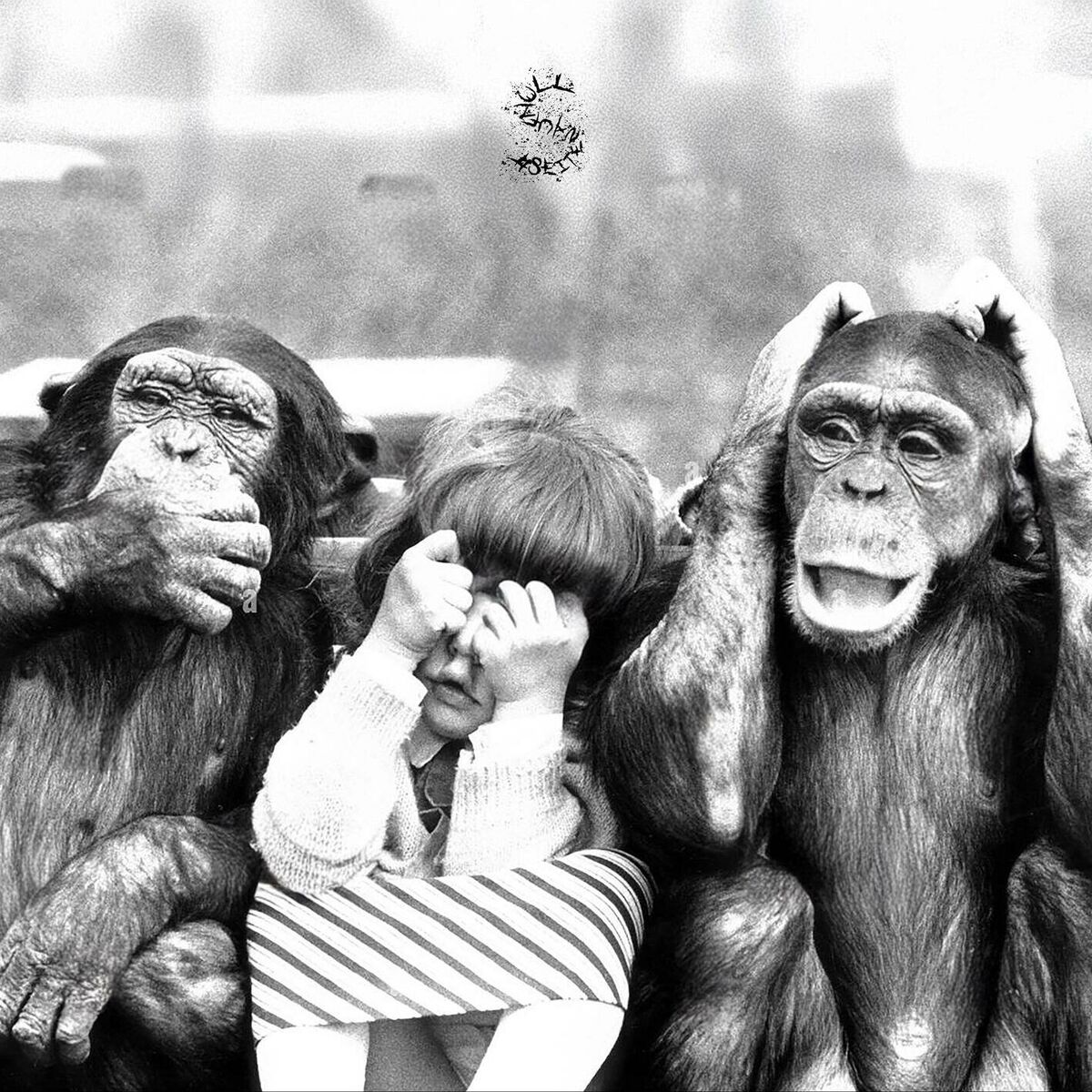 Album cover of 3 Singes