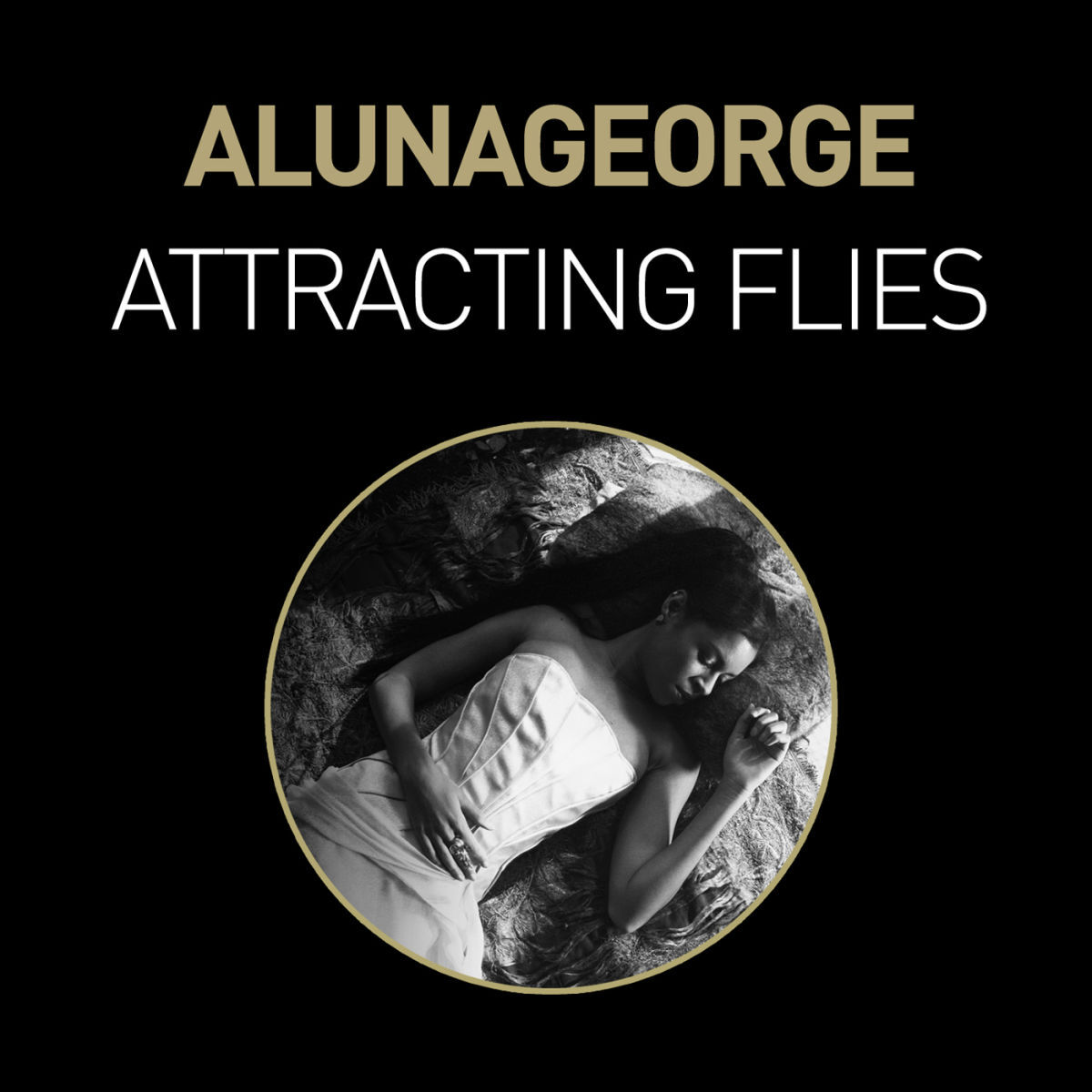 Album cover of Attracting Flies