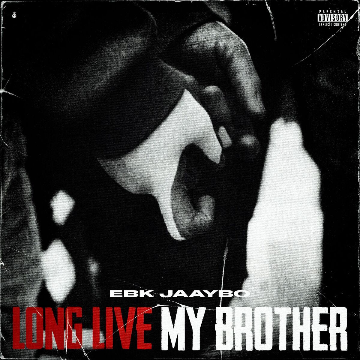Album cover of Long Live My Brother