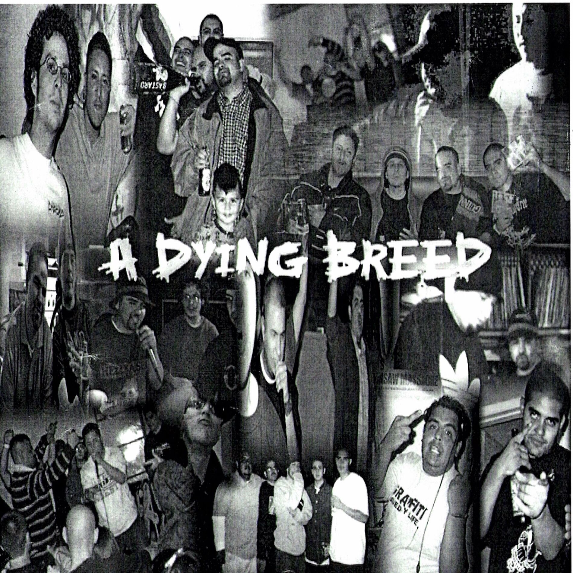Album cover of Low Budget Rukus
