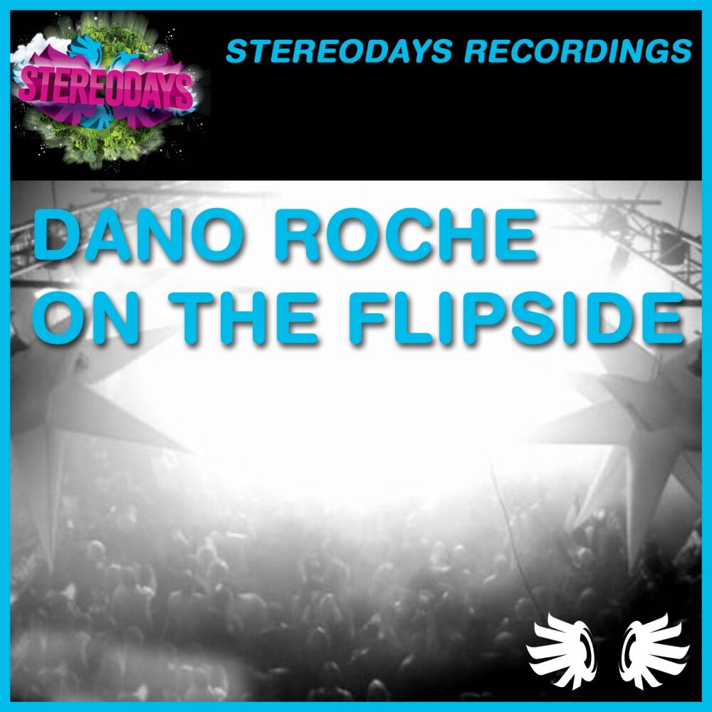 Picture of On The Flipside