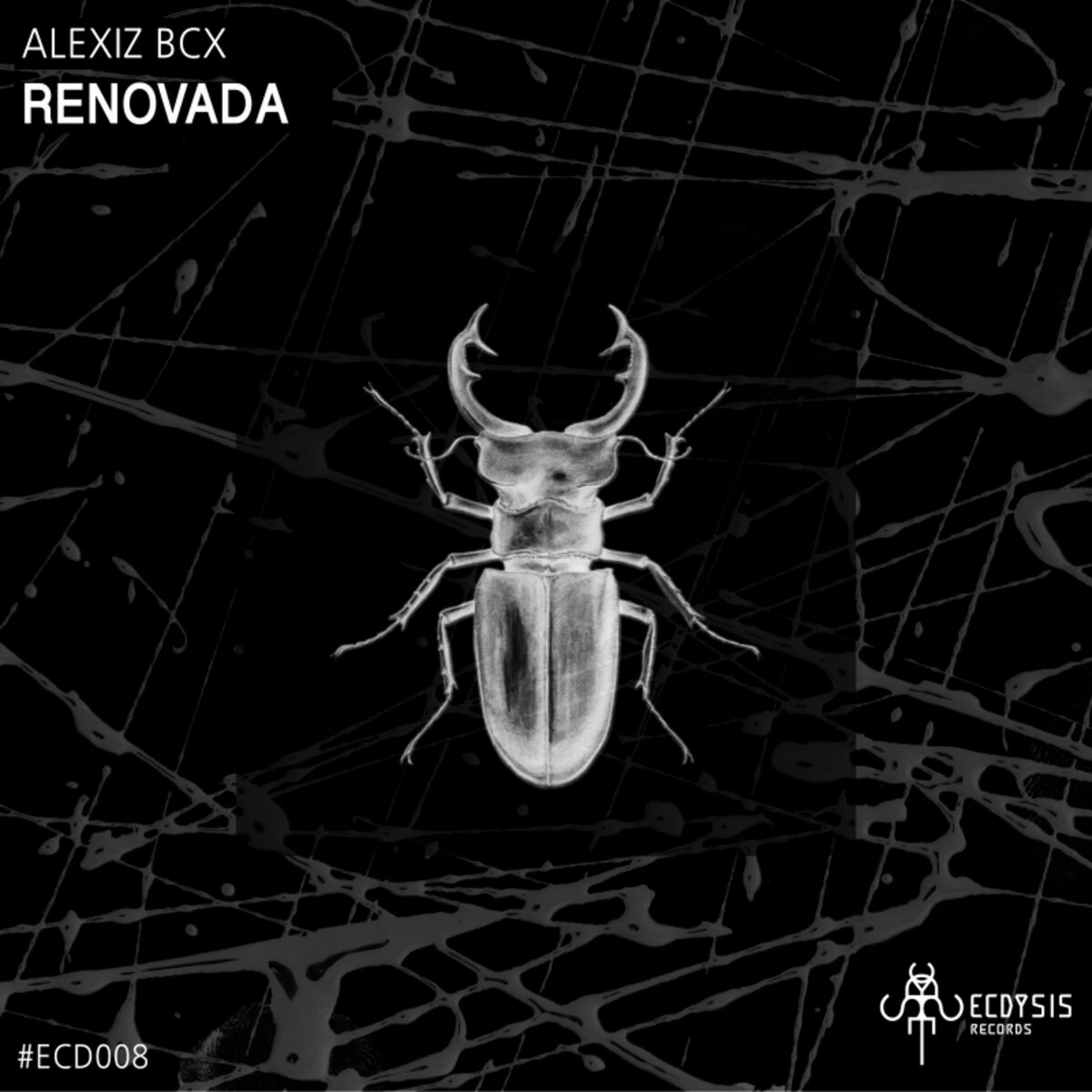 Album cover of Renovada