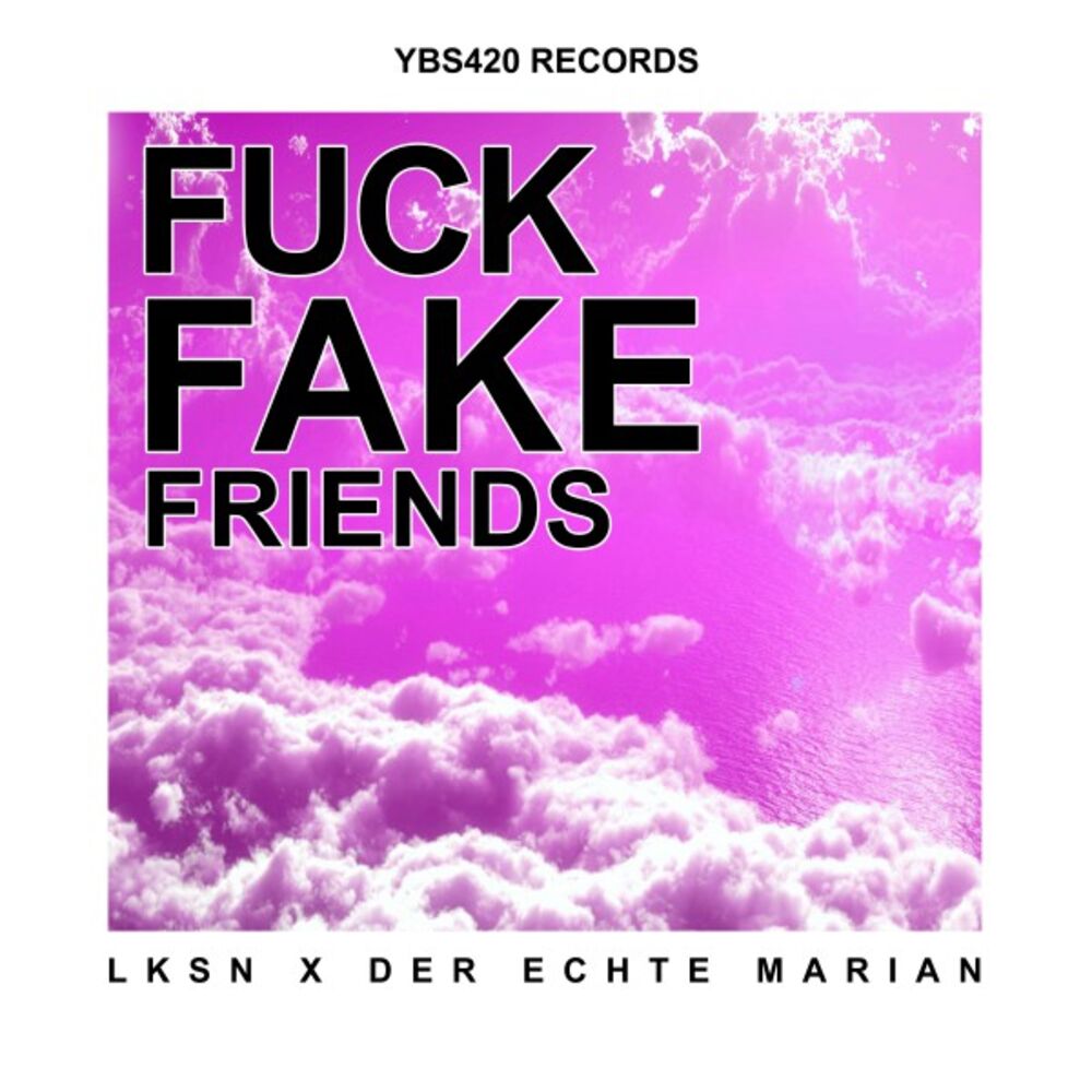 Picture of Fuck Fake Friends