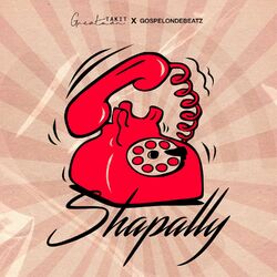 Cover of Shapally (Answer Me)