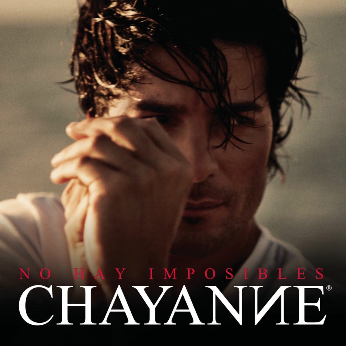 Album picture of No Hay Imposibles
