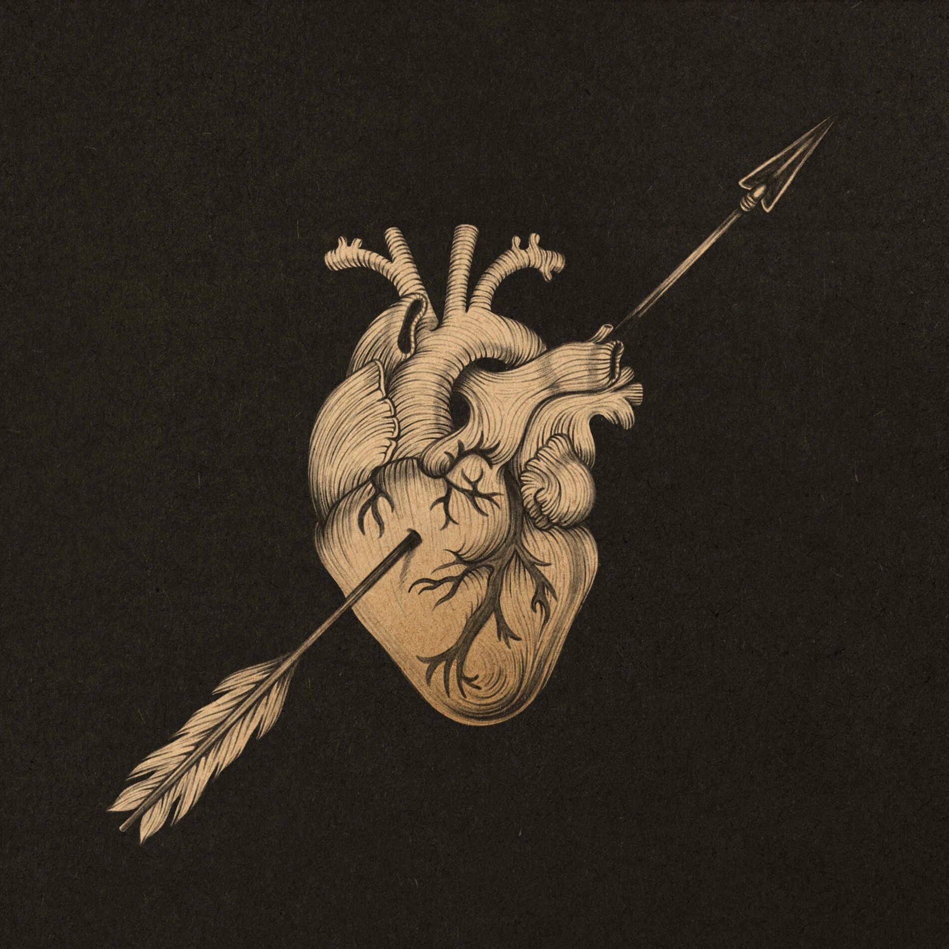 Album cover of Flecha Guarani Vol.2