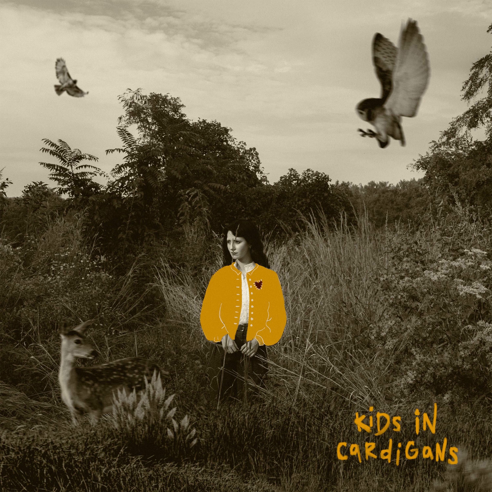 Album cover of Kids In Cardigans
