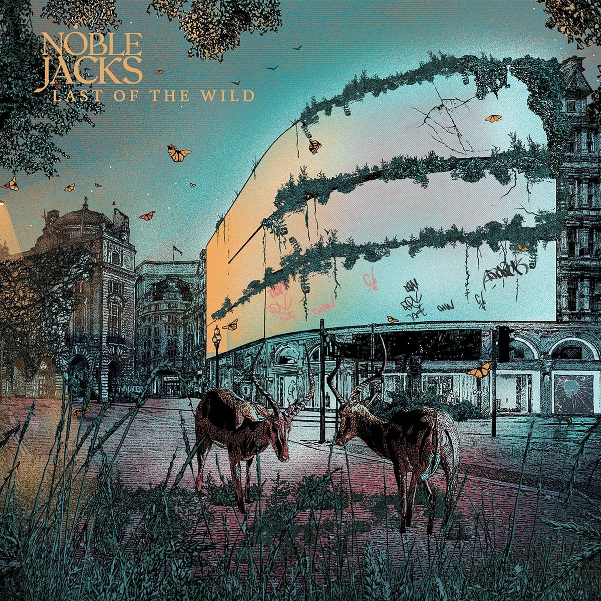 Album cover of Last of the Wild