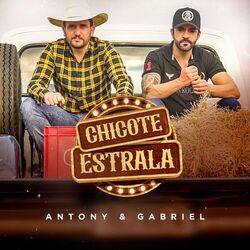 Cover of Chicote Estrala (Ao Vivo)
