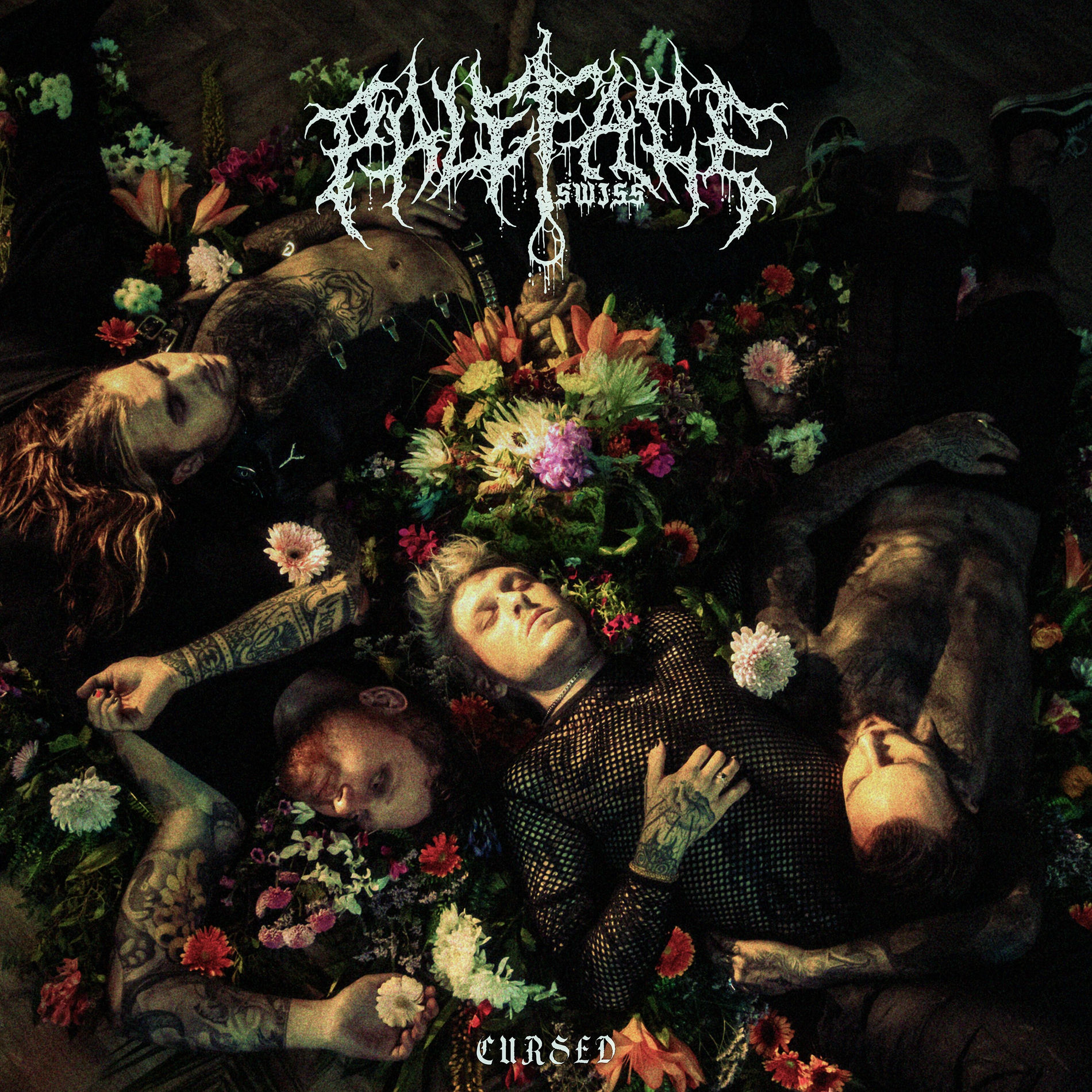 Album picture of CURSED