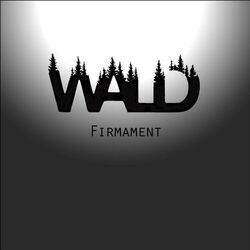 Cover of Firmament
