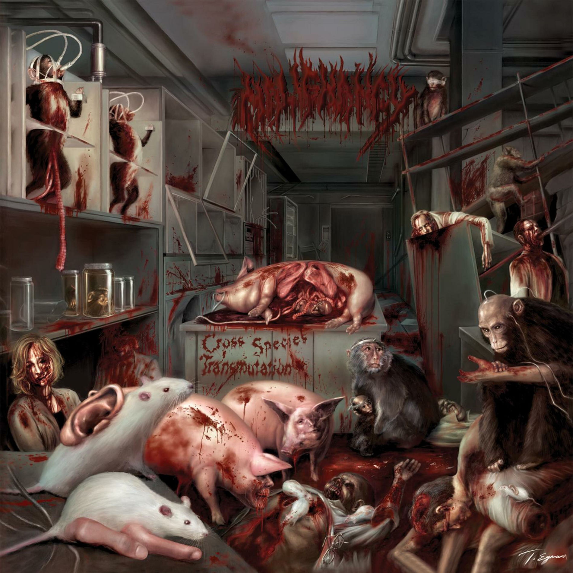 Album cover of Cross Species Transmutation