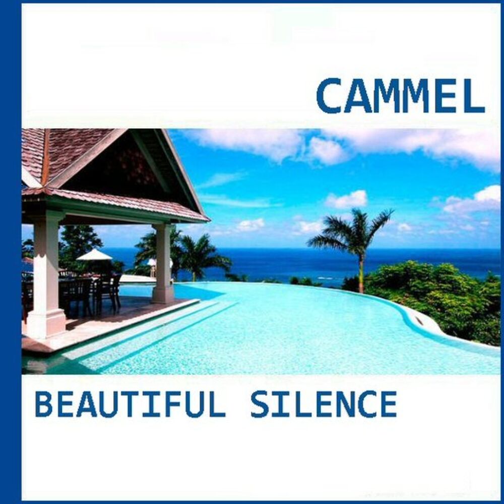 Picture of Beautiful Silence