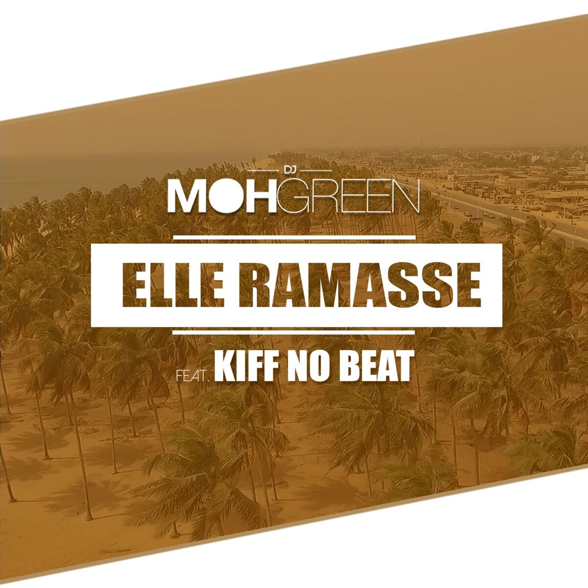 Album cover of Elle ramasse