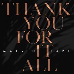 Cover of Thank You For It All