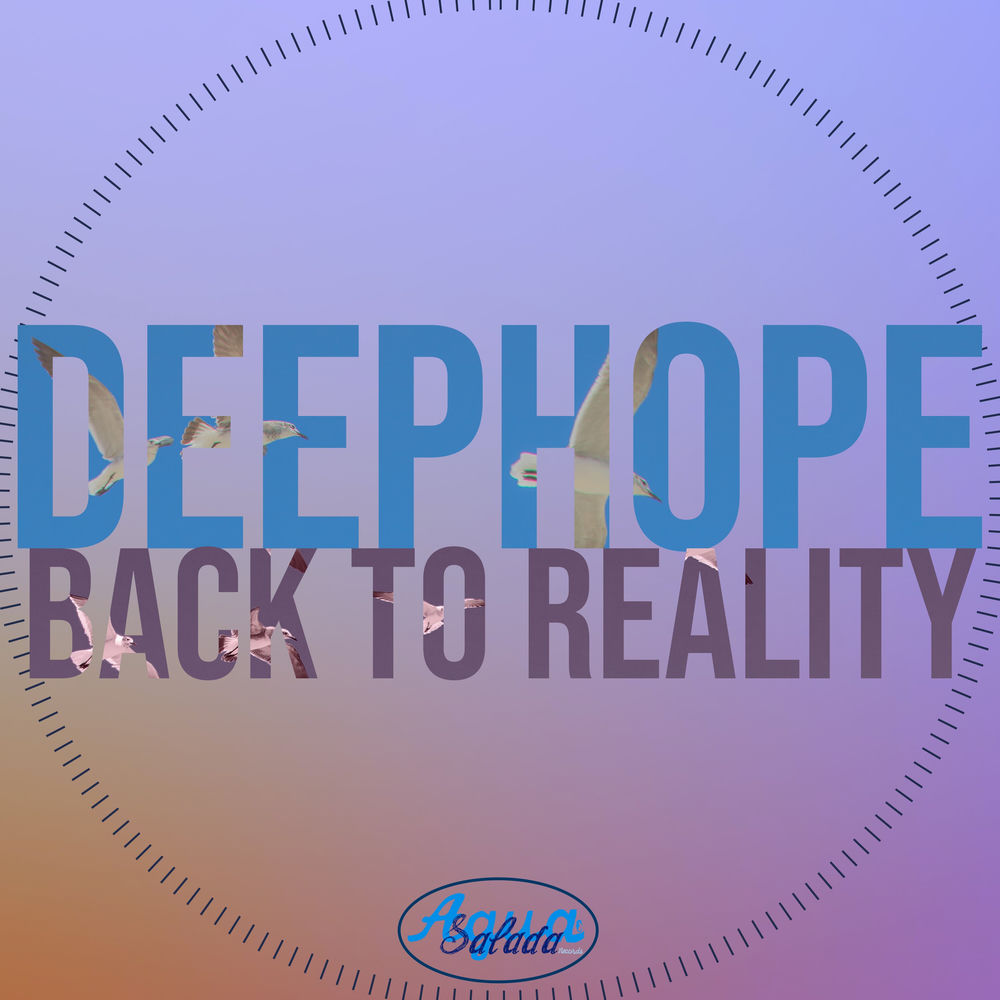 Albumhoes van Back To Reality — Deephope