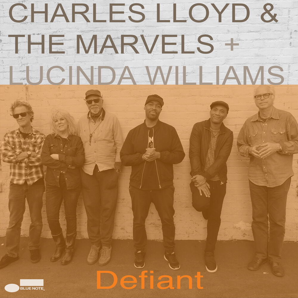 Picture of Defiant
