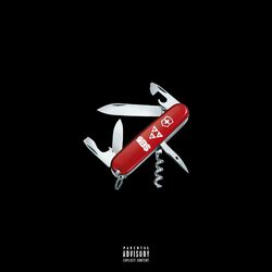 Cover of Victorinox