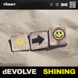 Cover of Shining