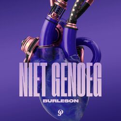 Cover of Niet Genoeg (feat. Oathmademedoit)