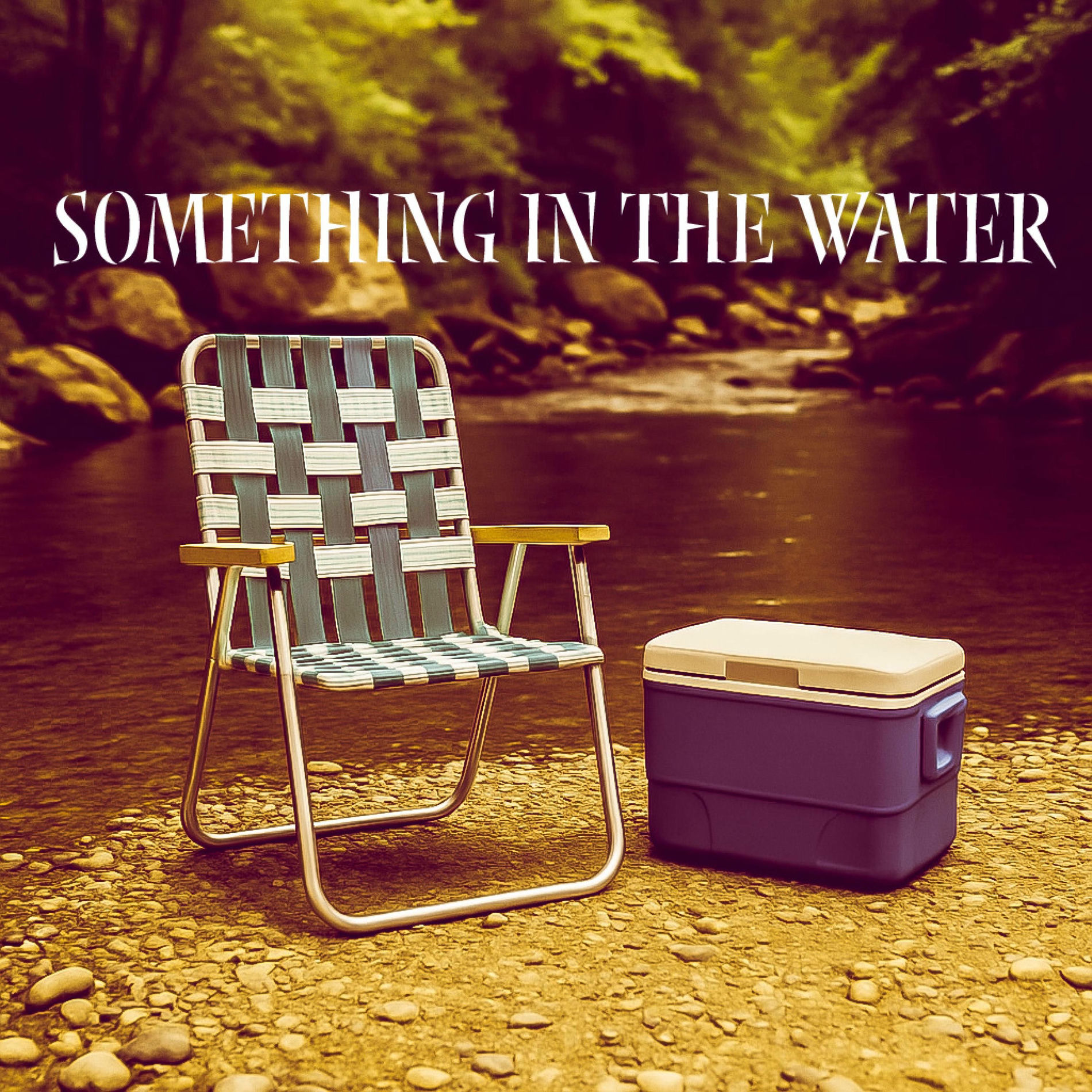 Album cover of Something In The Water