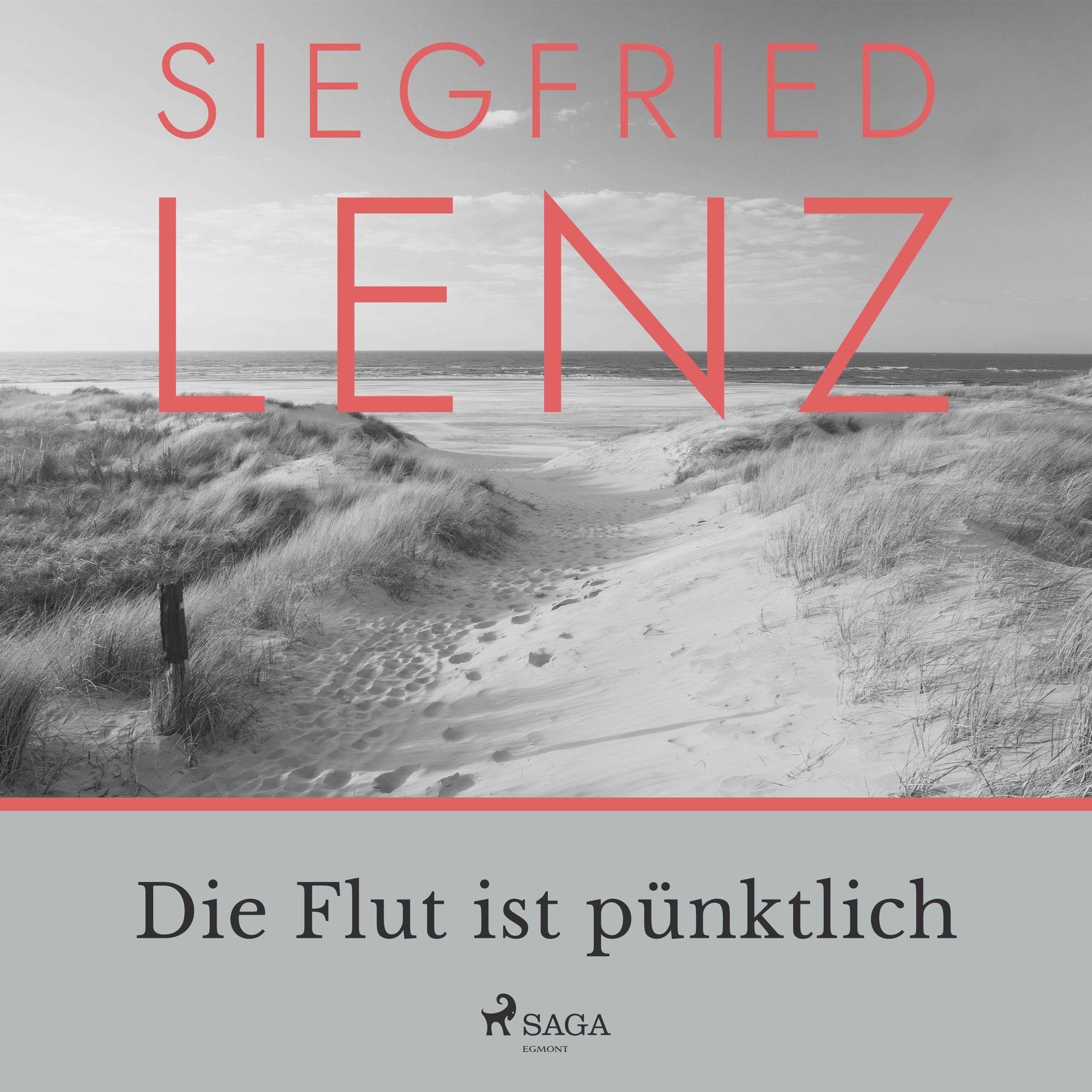 Album cover of Die Flut ist pünktlich