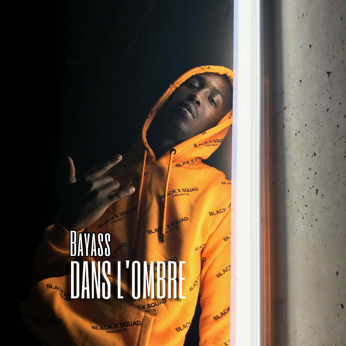 Album cover of Dans l’ombre