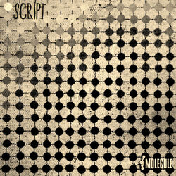 Cover of Script.001