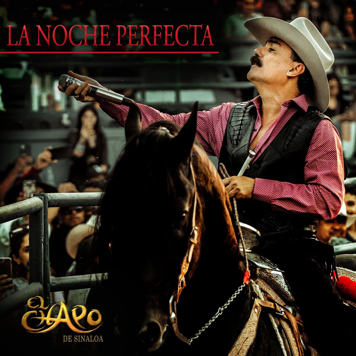 Album cover of La Noche Perfecta