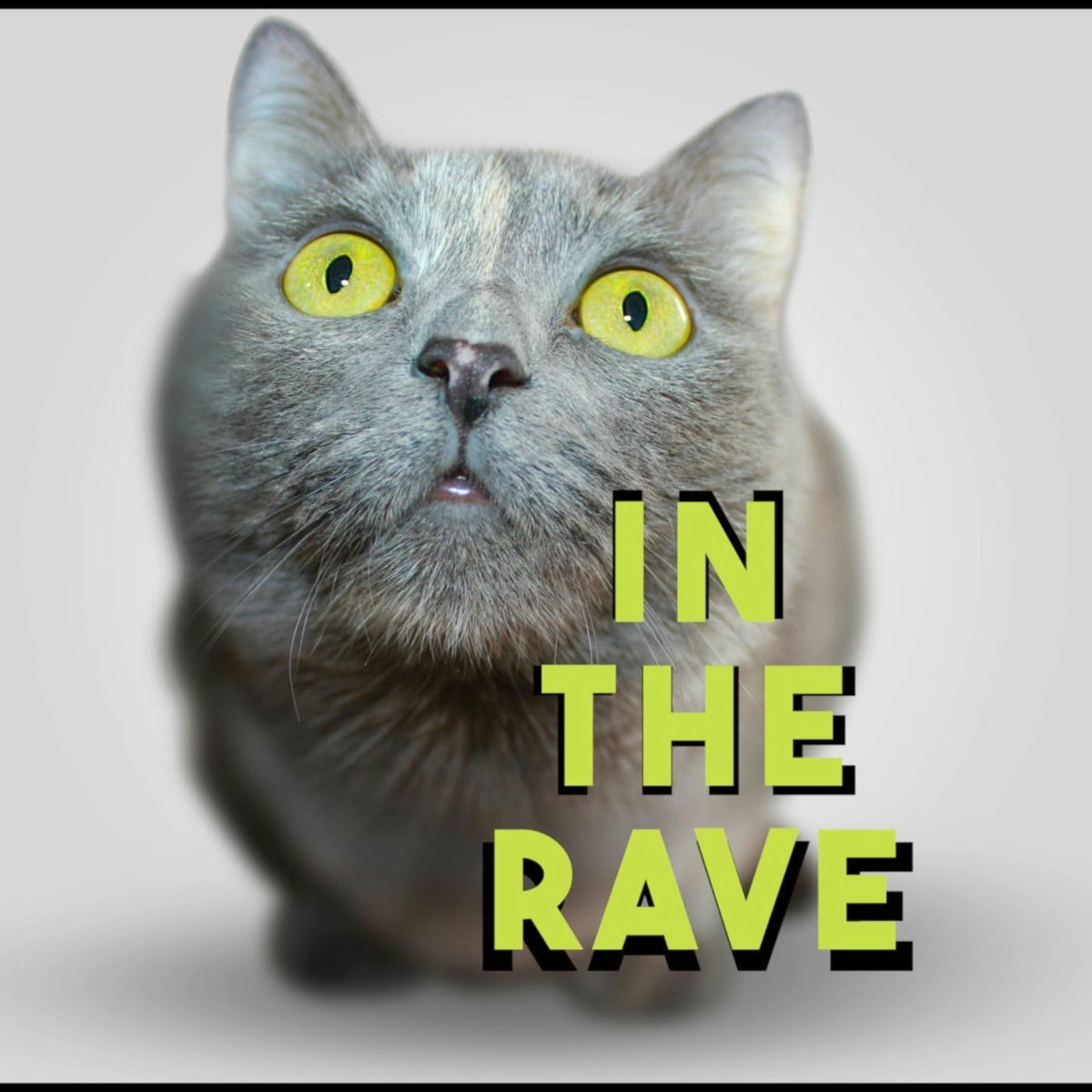 Album cover of In The Rave