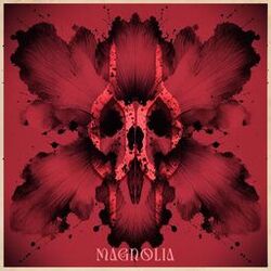music cover