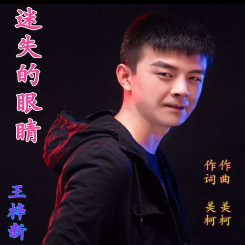 迷失的眼睛