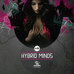 Cover of Hybrid Minds
