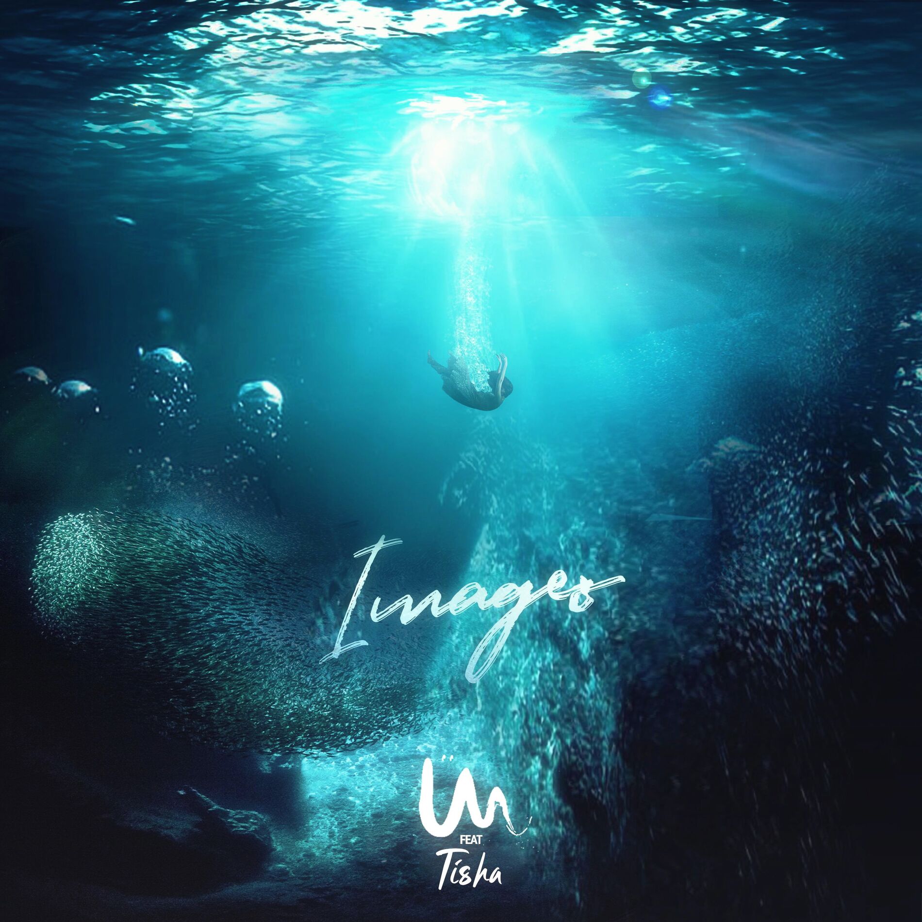 Album cover of Images