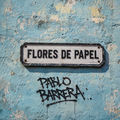 Flores de Papel