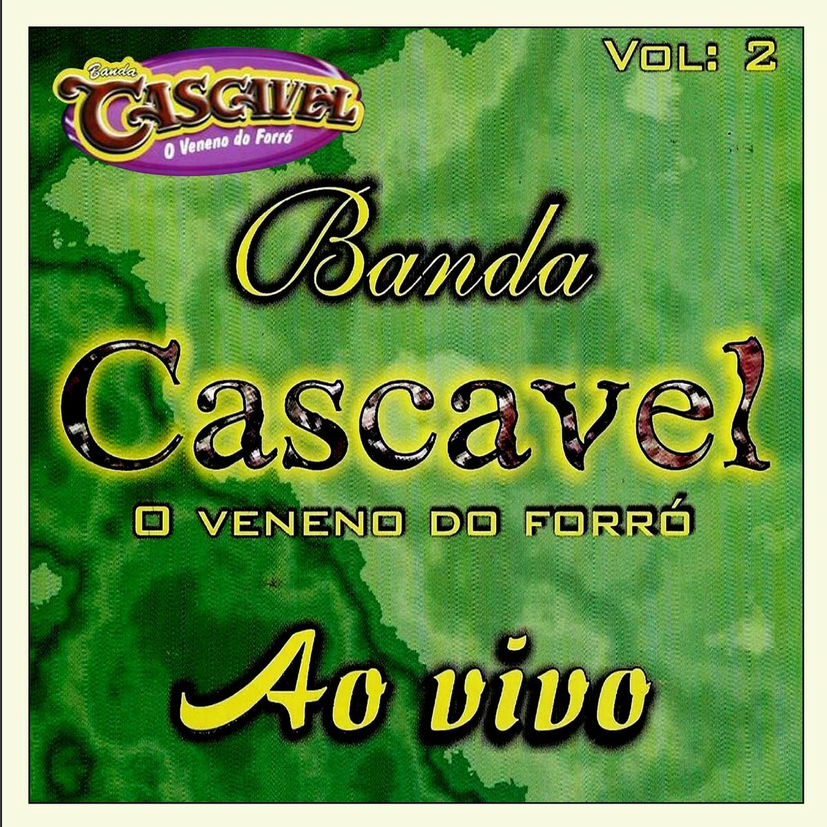 Album cover of VOL. 2 AO VIVO
